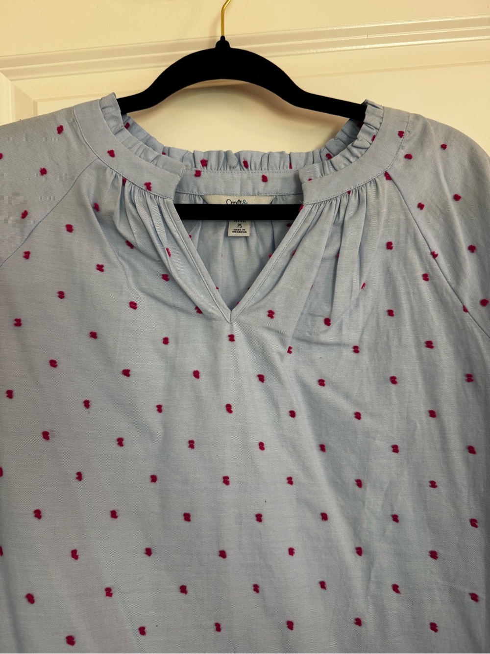 Croft and barrow Light Blue Blouse with Pink Dot Embroidery